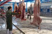 آغاز طرح تشدید نظارتهای بهداشتی محرم در گناباد 